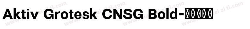 Aktiv Grotesk CNSG Bold字体转换